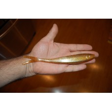 JM800 8 inch jerk bait soft plastic bait mold JM800 8 inch jerk bait soft plastic bait mold