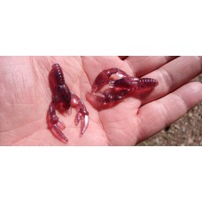 STC200 Craw 2 inch 12 cavity bait injection mold